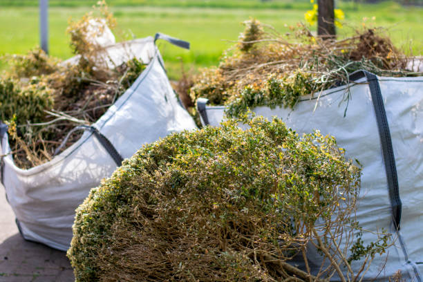 Best Junk Removal and Recycling  in Mante, CA